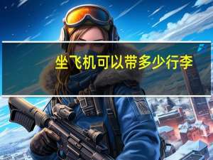 坐飞机可以带多少行李