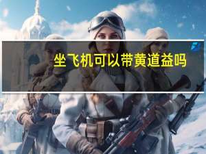 坐飞机可以带黄道益吗