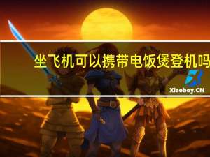 坐飞机可以携带电饭煲登机吗