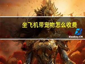 坐飞机带宠物怎么收费