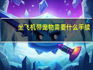 坐飞机带宠物需要什么手续