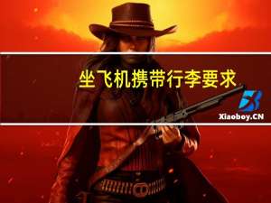 坐飞机携带行李要求