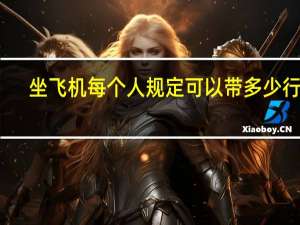 坐飞机每个人规定可以带多少行李