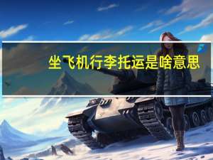 坐飞机行李托运是啥意思