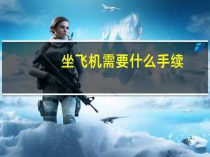 坐飞机需要什么手续
