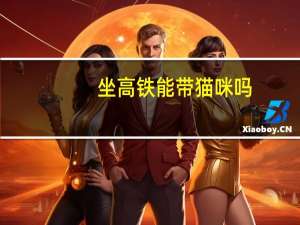 坐高铁能带猫咪吗