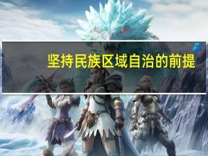 坚持民族区域自治的前提（坚持试行民族区域自治）