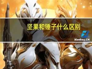 坚果和锤子什么区别