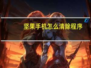 坚果手机怎么清除程序
