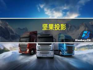坚果投影（坚果汽车）