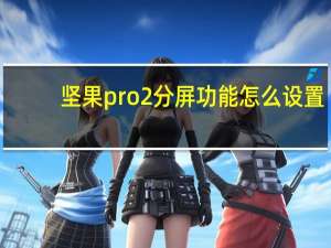 坚果pro2分屏功能怎么设置