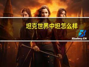 坦克世界中坦怎么样
