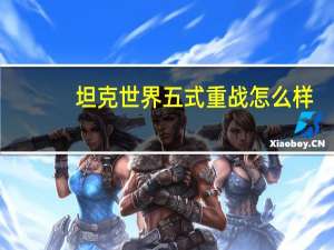 坦克世界五式重战怎么样