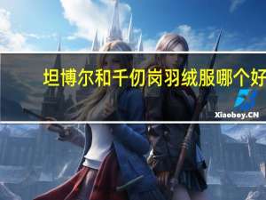 坦博尔和千仞岗羽绒服哪个好
