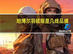 坦博尔羽绒服是几线品牌