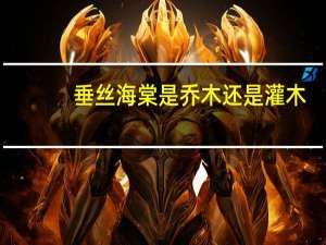 垂丝海棠是乔木还是灌木