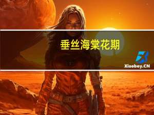 垂丝海棠花期：花期在3-4月份（可观赏时间大概在半个月左右）