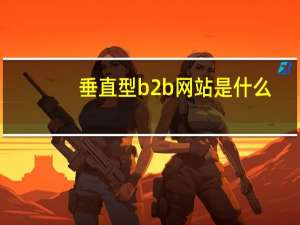 垂直型b2b网站是什么