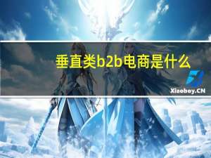 垂直类b2b电商是什么