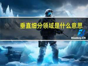 垂直细分领域是什么意思