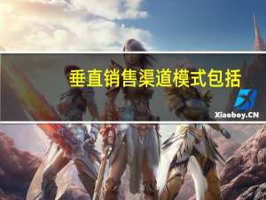 垂直销售渠道模式包括