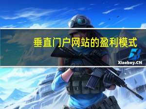 垂直门户网站的盈利模式（网站盈利模式）