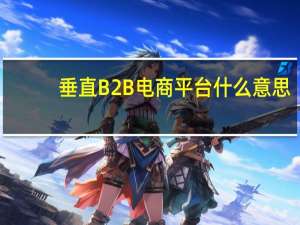 垂直B2B电商平台什么意思