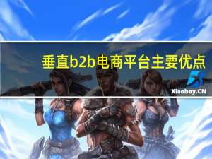 垂直b2b电商平台主要优点