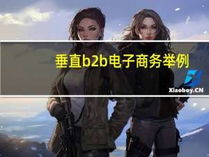 垂直b2b电子商务举例