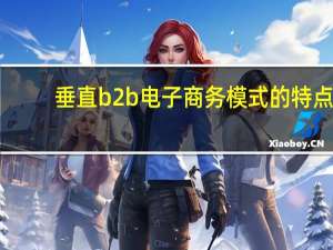 垂直b2b电子商务模式的特点