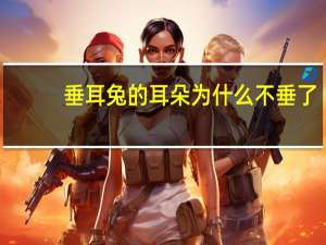 垂耳兔的耳朵为什么不垂了