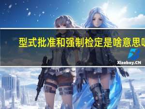 型式批准和强制检定是啥意思呀（型式批准和强制检定是啥意思）