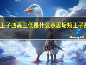 垢颊王子四高三低是什么意思 垢颊王子是什么意思