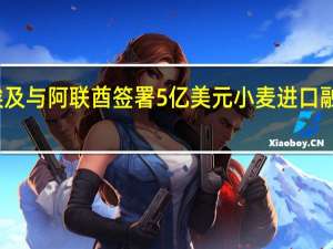 埃及与阿联酋签署5亿美元小麦进口融资协议