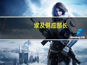 埃及供应部长：小麦库存足以维持5个月