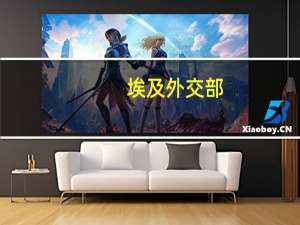 埃及外交部：埃及要求所有国际合作伙伴将援助加沙的物资运送至西奈的阿里什机场