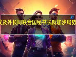埃及外长同联合国秘书长就加沙局势通电话