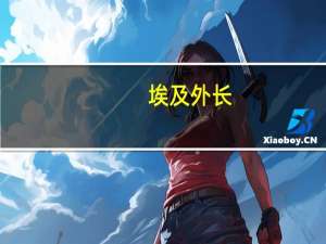 埃及外长：期待阿盟继续在复兴大坝问题上提供支持
