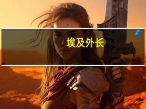 埃及外长：阿盟继续在复兴大坝问题上提供支持