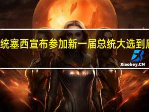 埃及总统塞西宣布参加新一届总统大选 到底什么情况嘞