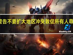 埃及总统塞西警告不要扩大地区冲突敦促所有人尊重埃及的主权和立场