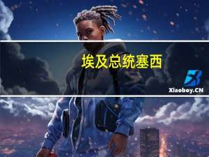 埃及总统塞西：当前的升级非常危险可能会对该地区的安全和稳定产生影响