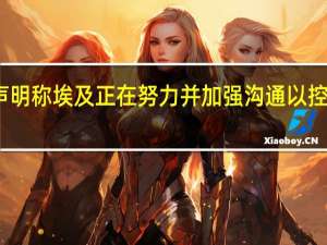 埃及总统府声明称埃及正在努力并加强沟通以控制加沙地带的局势