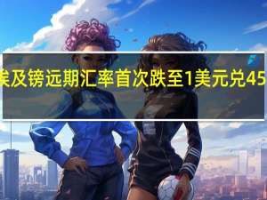 埃及镑远期汇率首次跌至1美元兑45埃及镑