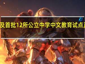 埃及首批12所公立中学中文教育试点正式启动，还有哪些信息值得关注