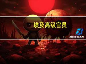 埃及高级官员：拉法口岸将于20日开放