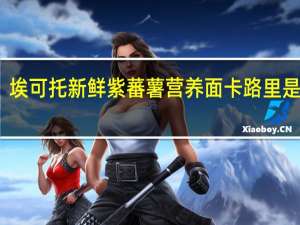埃可托 新鲜紫蕃薯营养面卡路里是多少