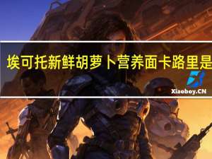 埃可托 新鲜胡萝卜营养面卡路里是多少
