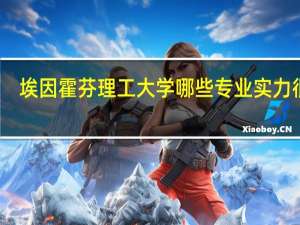 埃因霍芬理工大学哪些专业实力很强