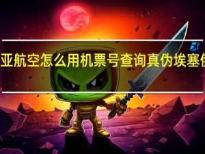 埃塞俄比亚航空怎么用机票号查询真伪 埃塞俄比亚航空公司